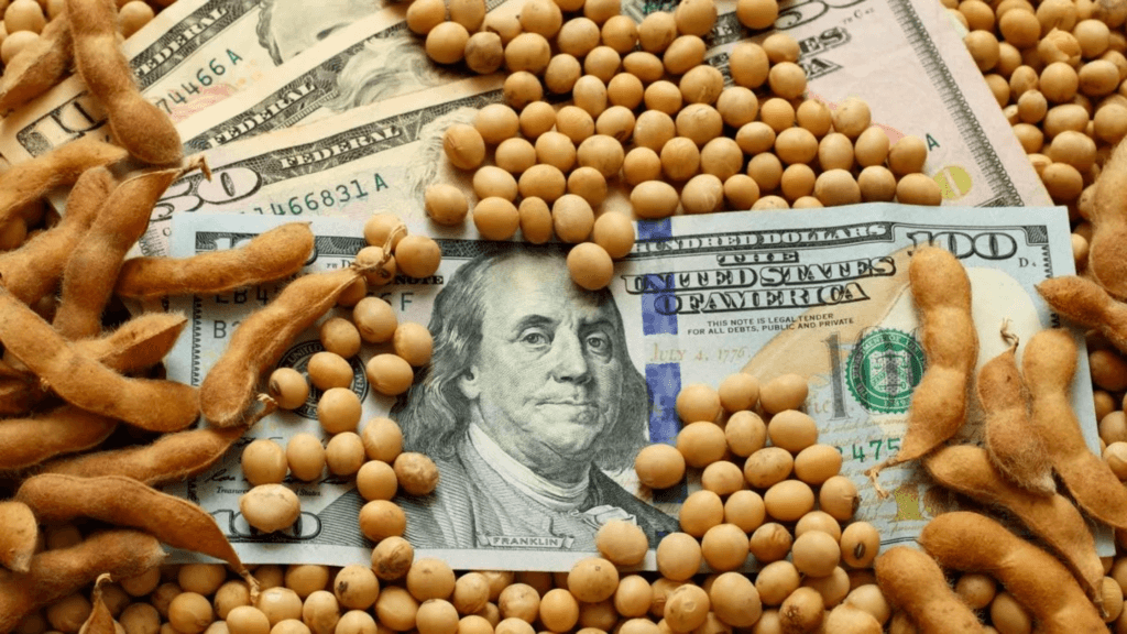 El dólar incide en los precios del mercado de granos local