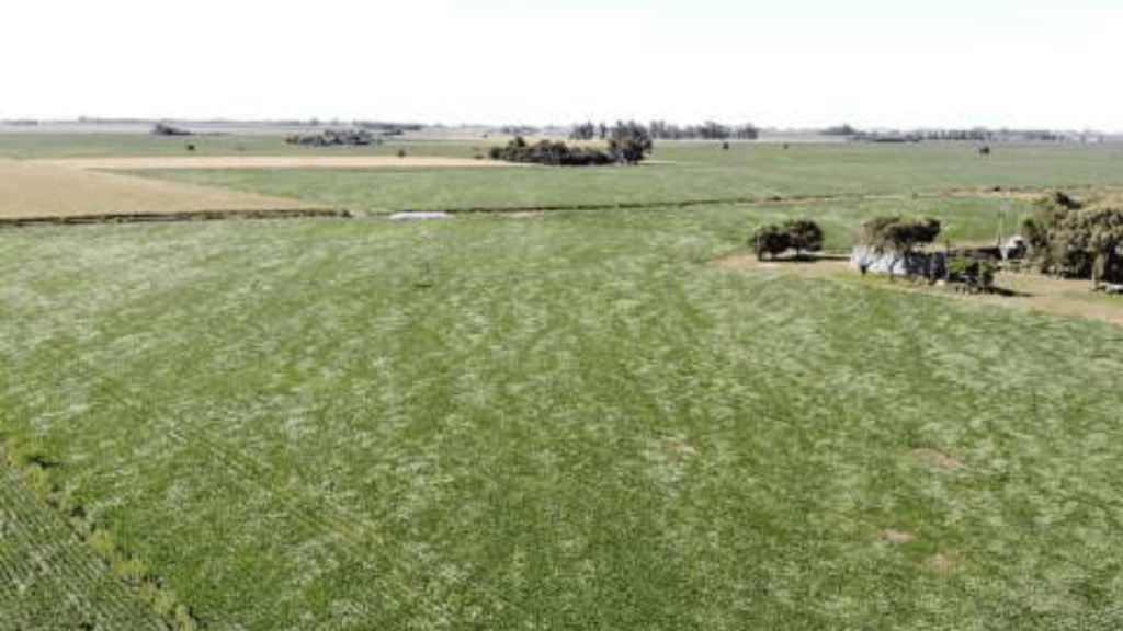 El sector inmobiliario rural alcanzó la mayor actividad de los últimos diez años