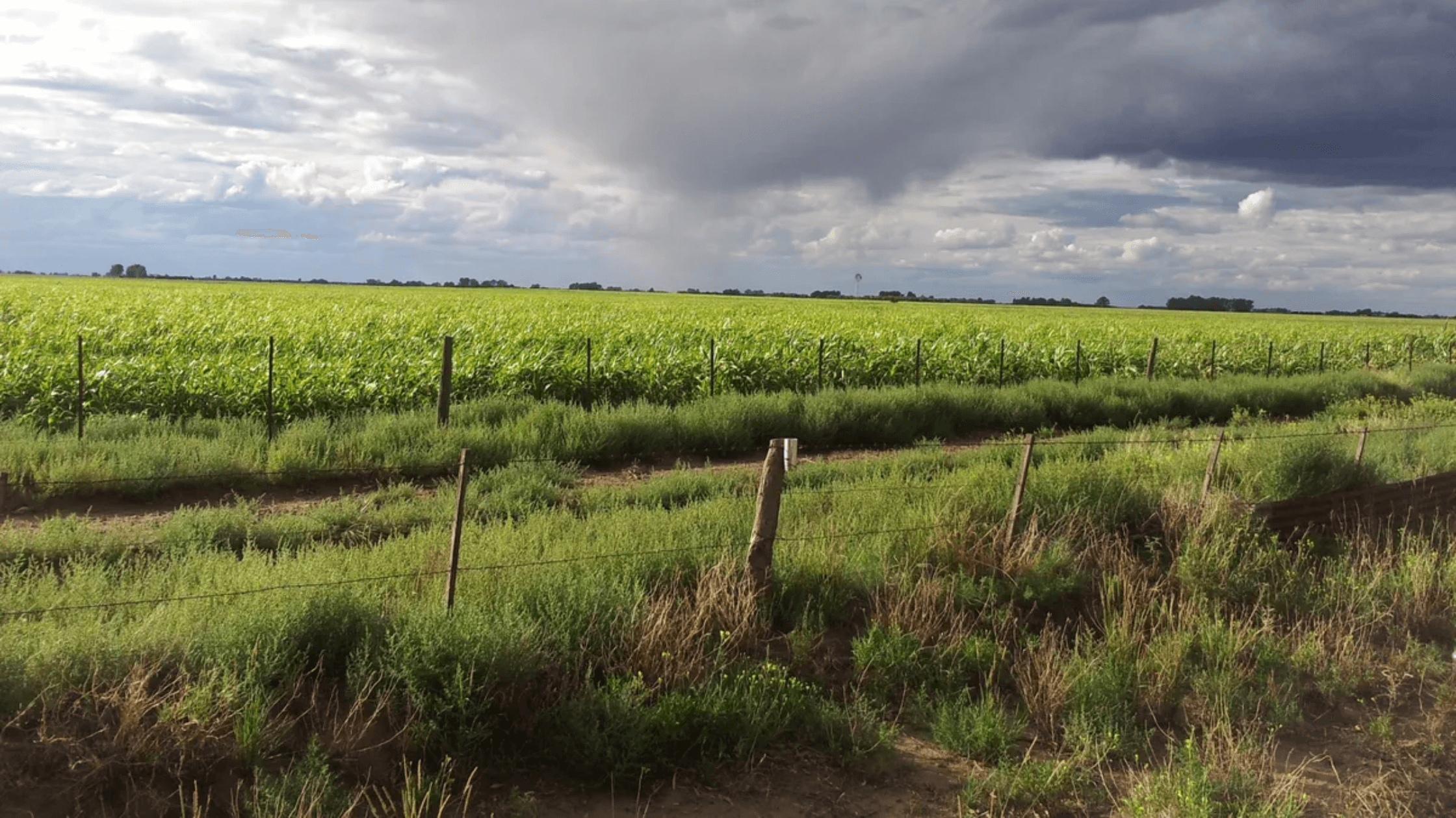 La lluvia regresa a la región centro