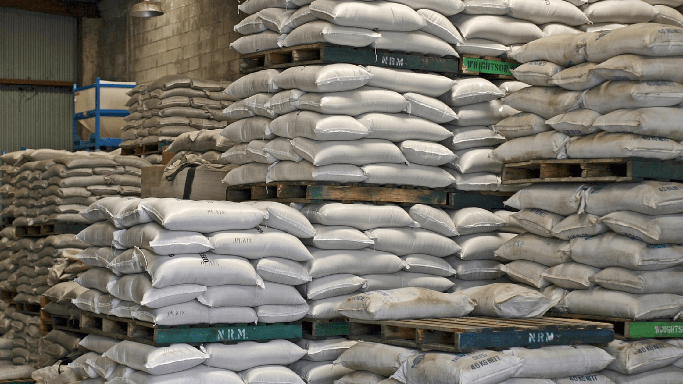 Suman controles al comercio de las semillas: qué pasa con el uso propio