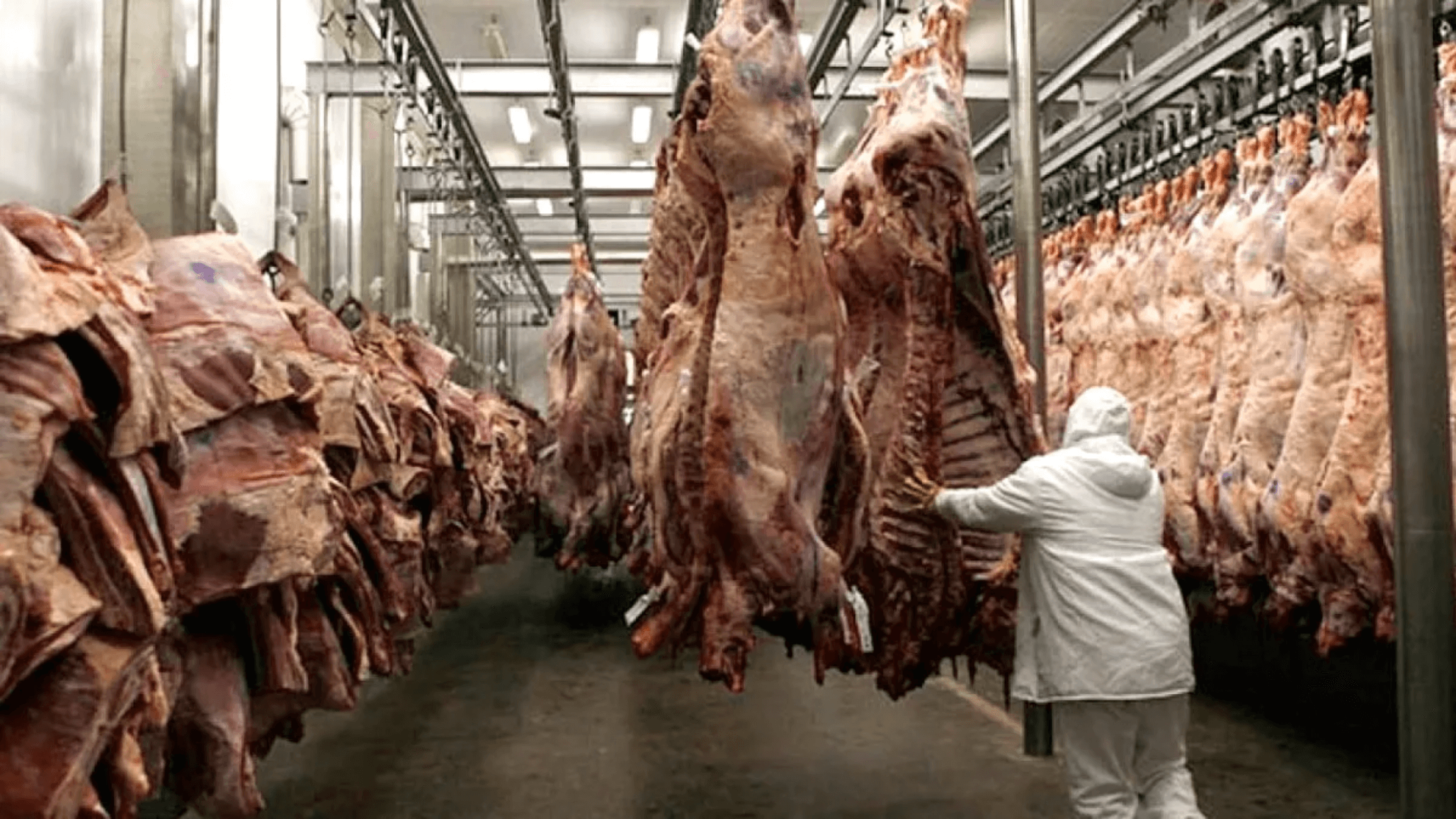 Cambios en las retenciones al campo