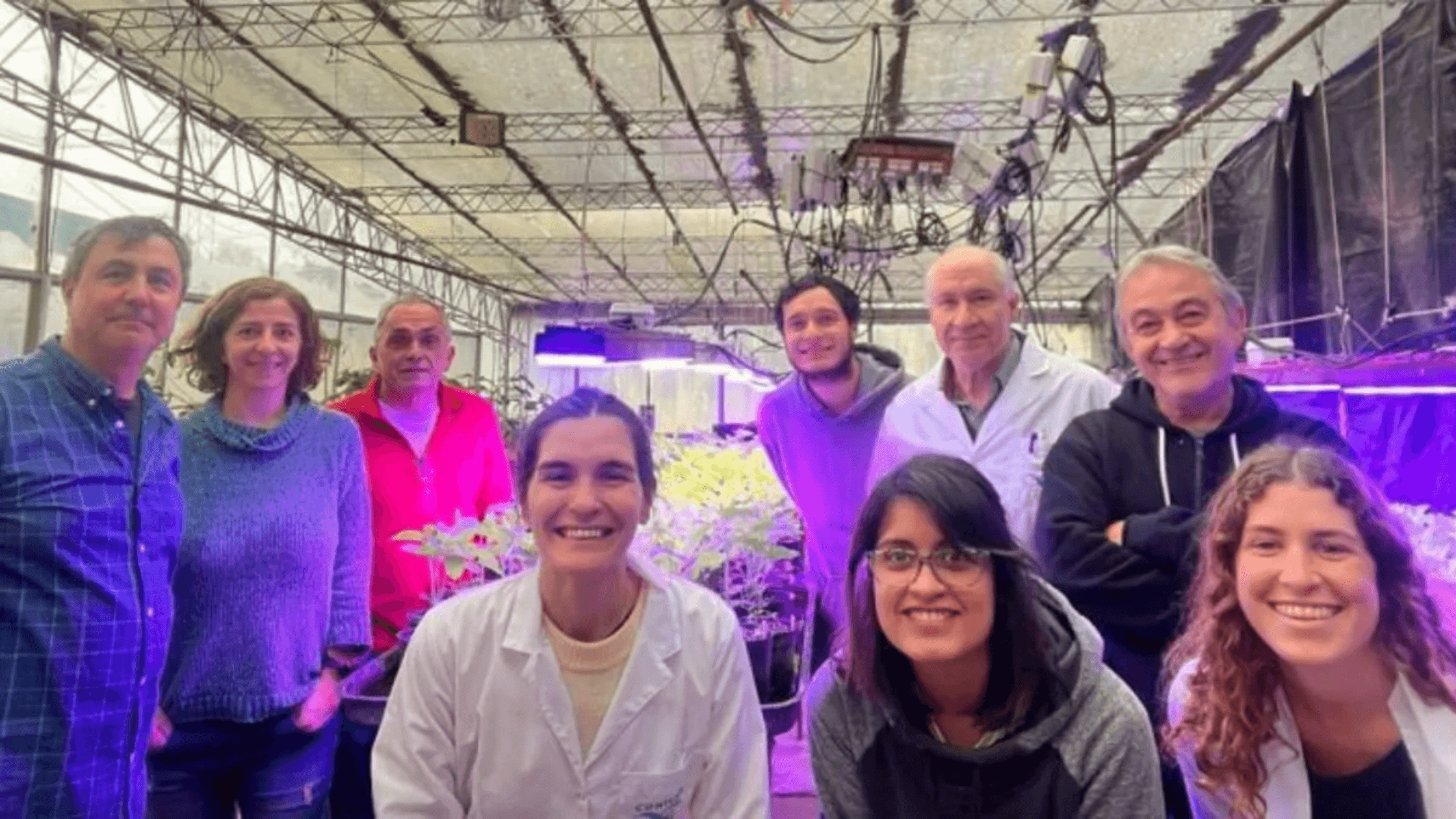Cientificos argentinos crearon una soja que produce el 60 por ciento de sus vainas con cuatro semillas